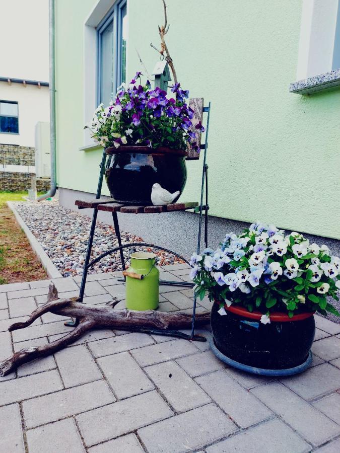 Ferienwohnung Ab Zum Haff Иккермюнде Экстерьер фото