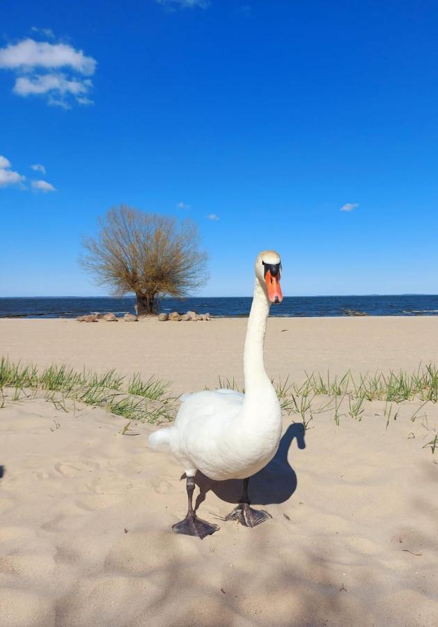 Ferienwohnung Ab Zum Haff Иккермюнде Экстерьер фото
